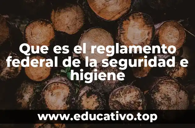 Que es el reglamento federal de la seguridad e higiene