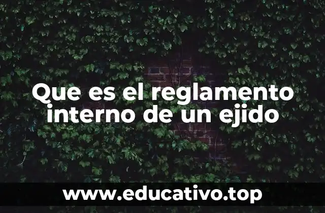 Que es el reglamento interno de un ejido