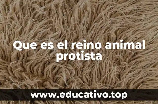 Que es el reino animal protista