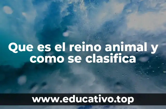 Que es el reino animal y como se clasifica