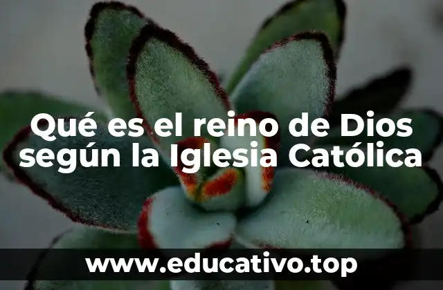 Qué es el reino de Dios según la Iglesia Católica