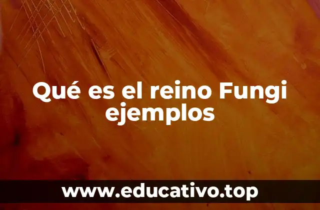 Qué es el reino Fungi ejemplos