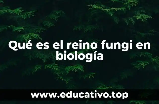 Qué es el reino fungi en biología