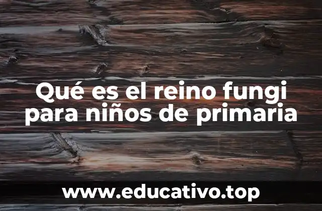 Qué es el reino fungi para niños de primaria