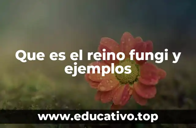 Que es el reino fungi y ejemplos