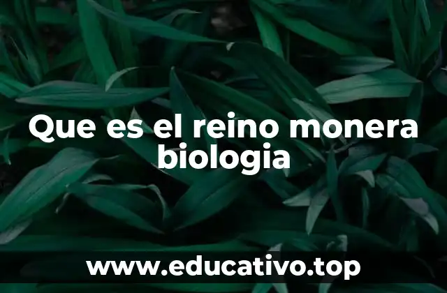 Que es el reino monera biologia