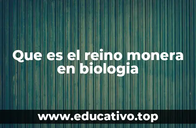 Que es el reino monera en biologia