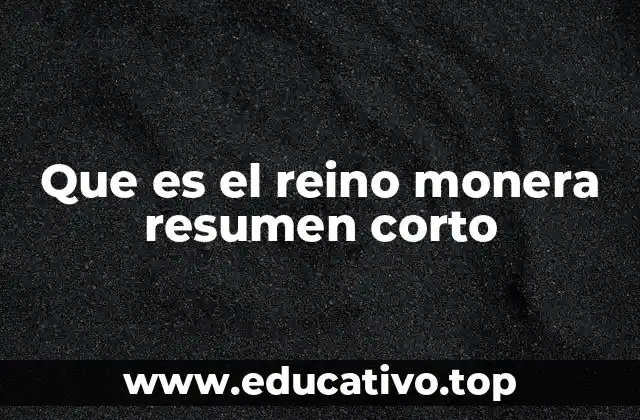 Que es el reino monera resumen corto