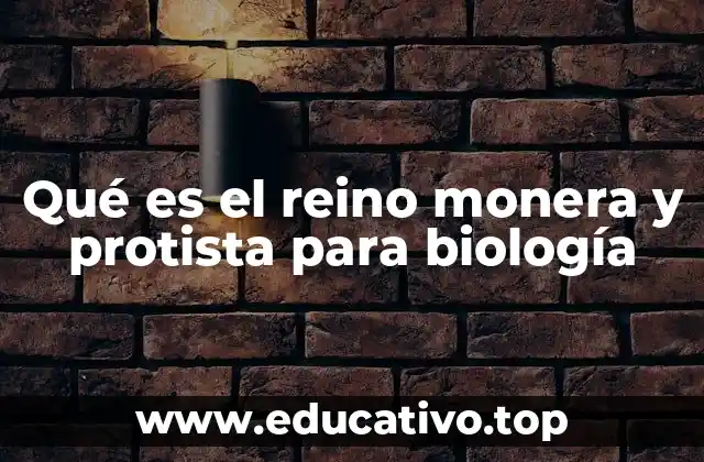 Qué es el reino monera y protista para biología