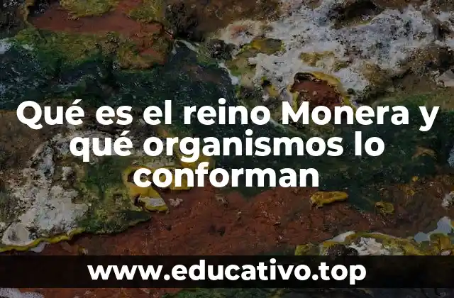 Qué es el reino Monera y qué organismos lo conforman