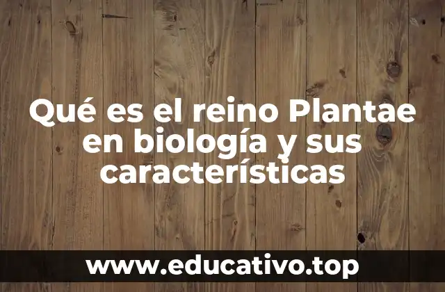 Qué es el reino Plantae en biología y sus características