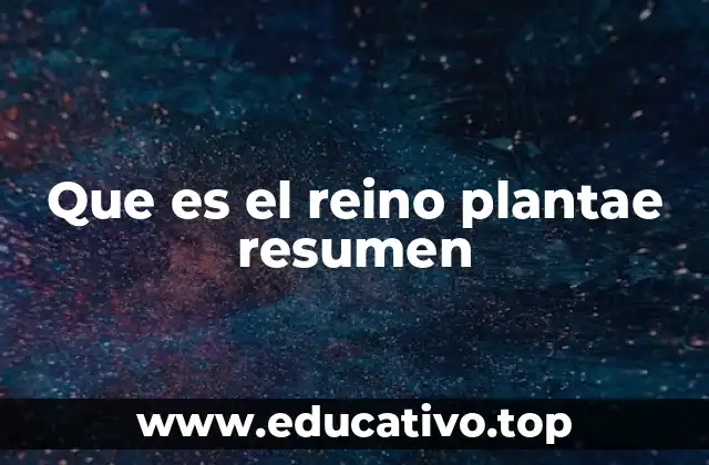 Que es el reino plantae resumen