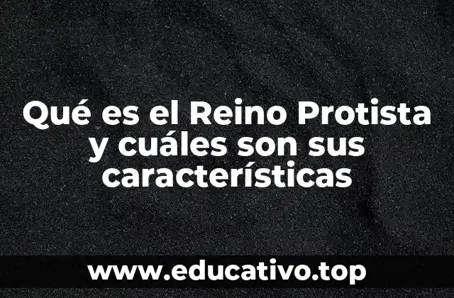 Qué es el Reino Protista y cuáles son sus características