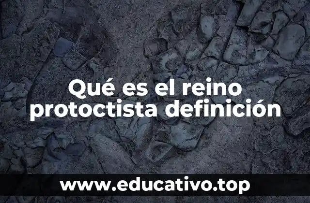 Qué es el reino protoctista definición