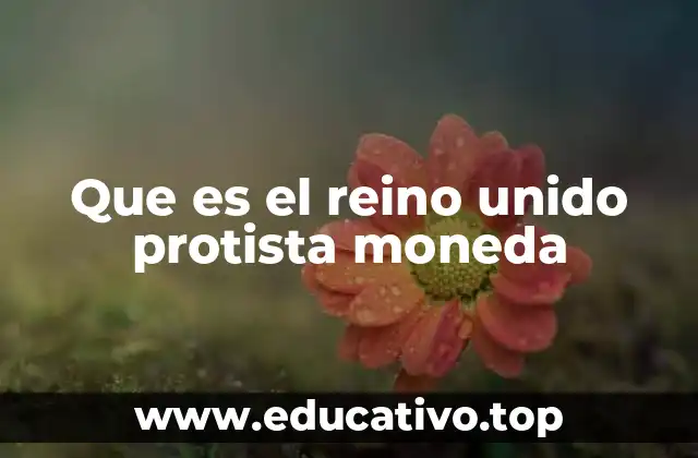 Que es el reino unido protista moneda