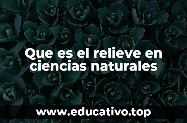 Que es el relieve en ciencias naturales