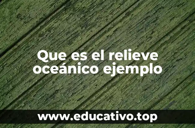 Que es el relieve oceánico ejemplo