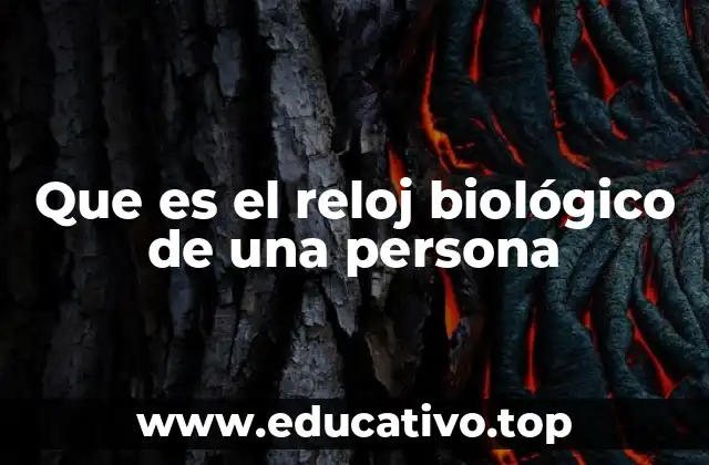 Que es el reloj biológico de una persona