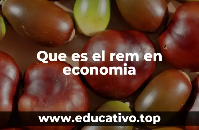 Que es el rem en economia