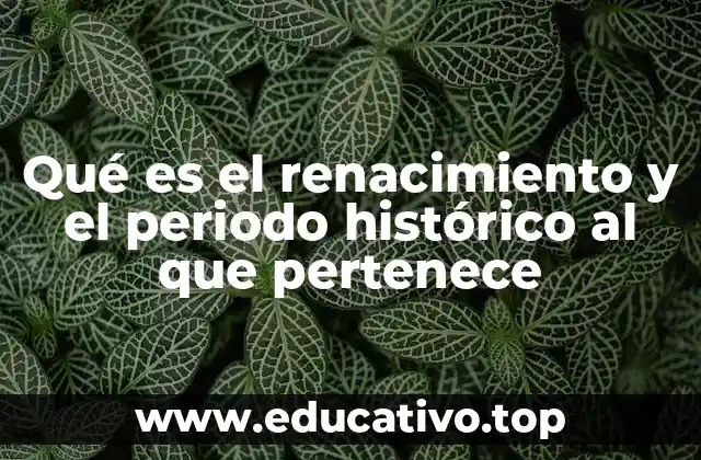 Qué es el renacimiento y el periodo histórico al que pertenece