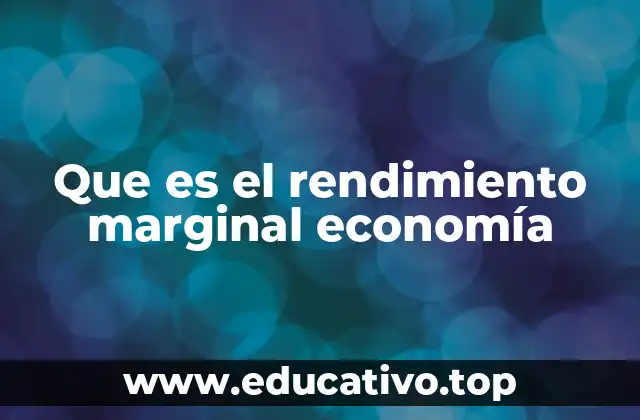 Que es el rendimiento marginal economía