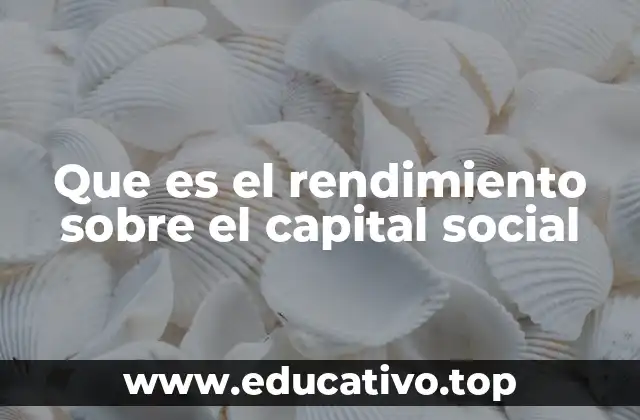 Que es el rendimiento sobre el capital social