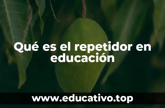 Qué es el repetidor en educación