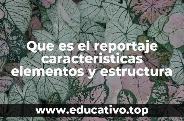 Que es el reportaje caracteristicas elementos y estructura
