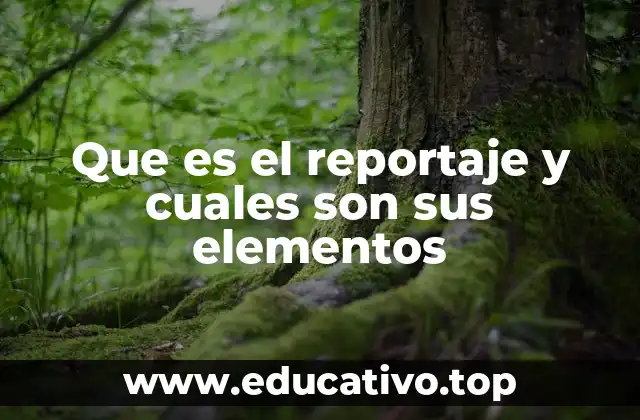 Que es el reportaje y cuales son sus elementos