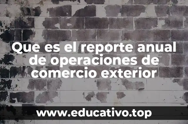 Que es el reporte anual de operaciones de comercio exterior