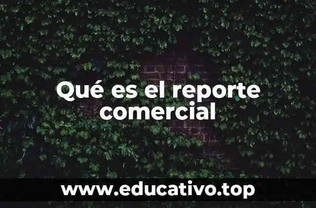 Qué es el reporte comercial
