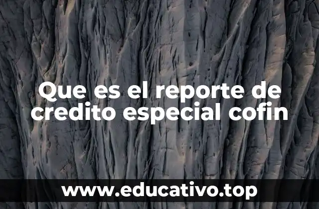 Que es el reporte de credito especial cofin