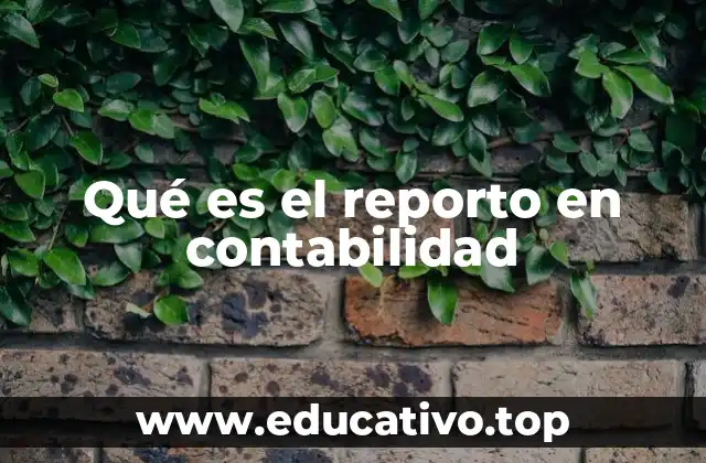 Importancia del reporto en el proceso contable