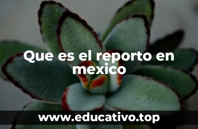 Que es el reporto en mexico