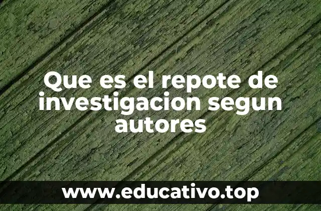 Que es el repote de investigacion segun autores