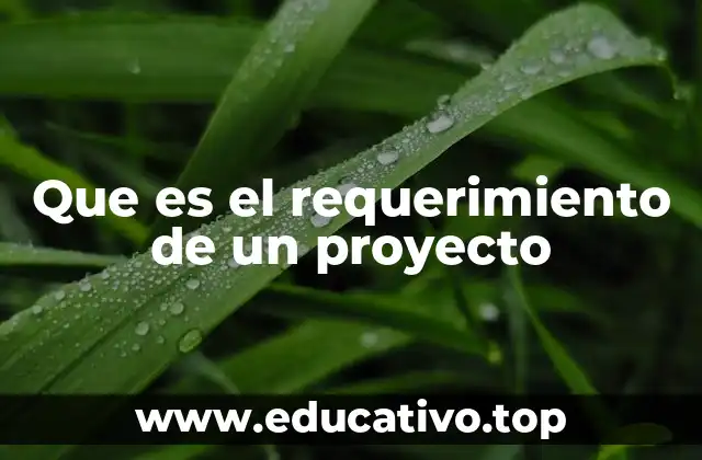 Que es el requerimiento de un proyecto