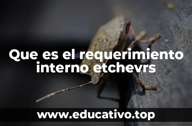 Que es el requerimiento interno etchevrs
