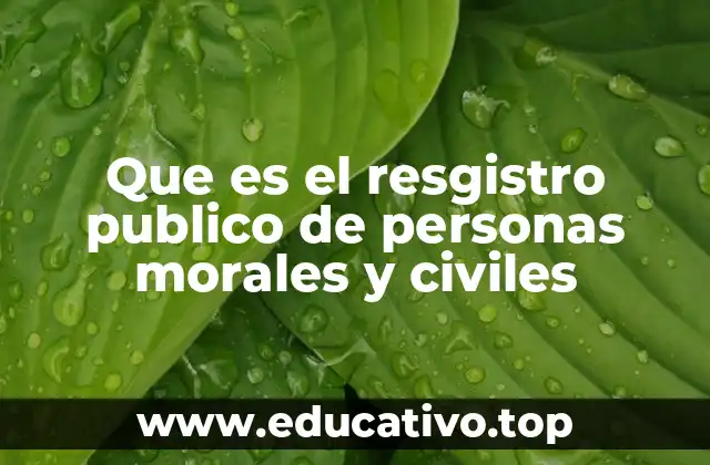 La importancia del Registro Público en el ámbito legal