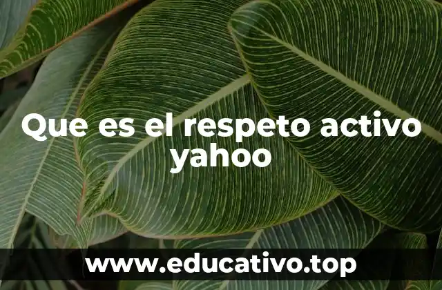 Que es el respeto activo yahoo