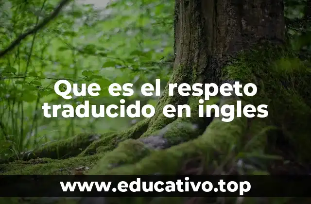 Que es el respeto traducido en ingles