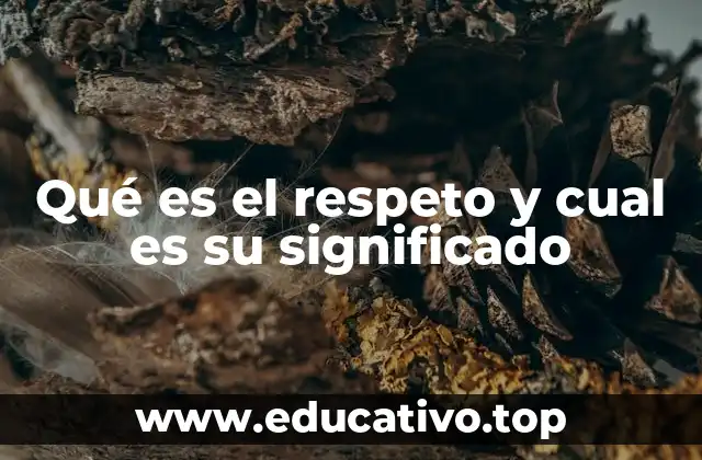 Qué es el respeto y cual es su significado