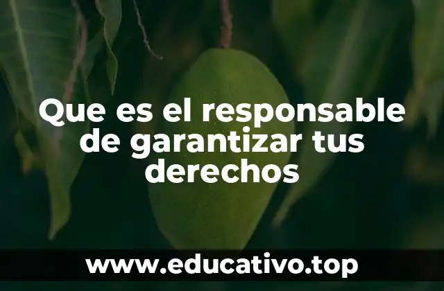Que es el responsable de garantizar tus derechos