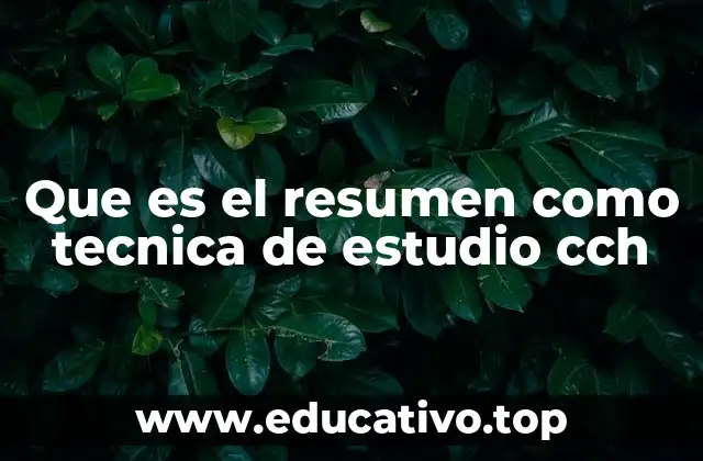 Que es el resumen como tecnica de estudio cch
