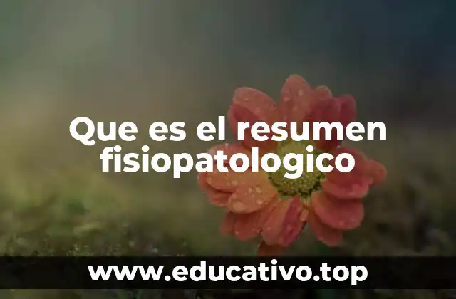 Que es el resumen fisiopatologico
