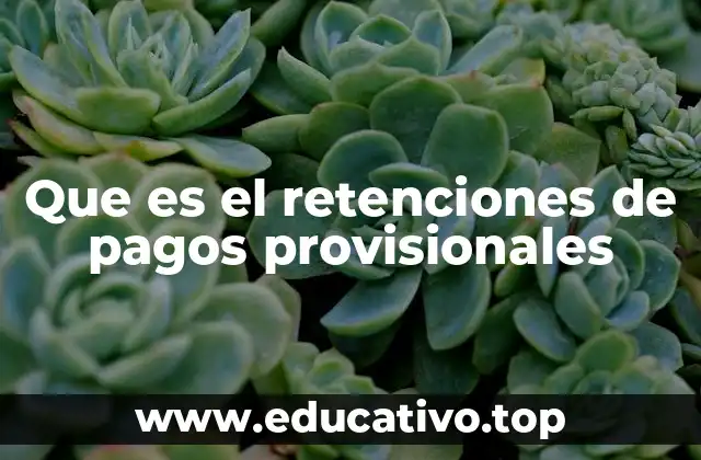 Que es el retenciones de pagos provisionales
