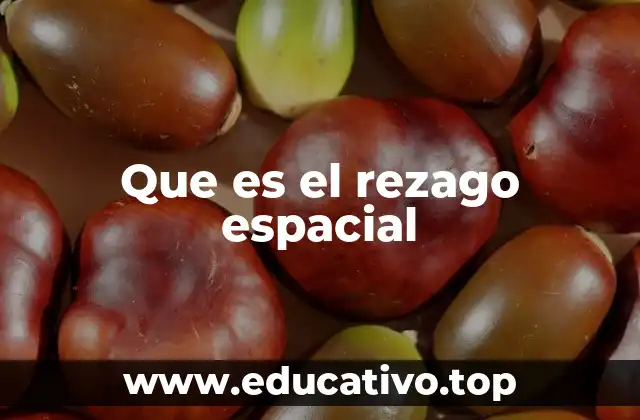 Que es el rezago espacial