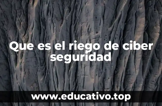 Que es el riego de ciber seguridad