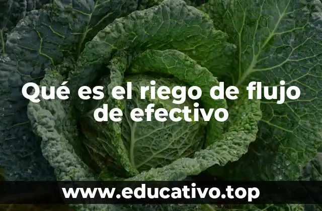 Qué es el riego de flujo de efectivo