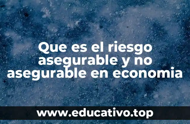 Que es el riesgo asegurable y no asegurable en economia