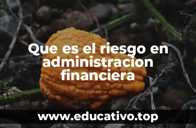 Que es el riesgo en administracion financiera